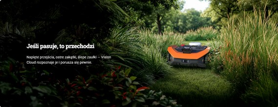 Baner: Jak Vision Cloud AWD radzi sobie z chodnikami i wąskimi przejściami? 